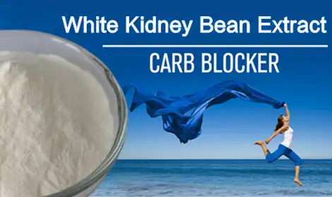 White Kidney Bean Extract: A Plant-Based Carb Blocker